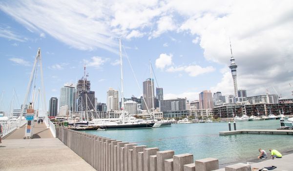 Auckland bridge view