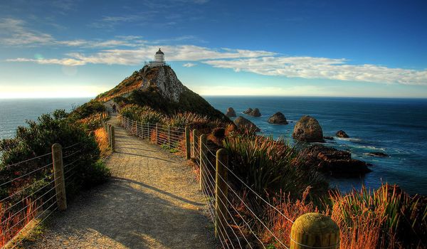 nugget point in new zealand