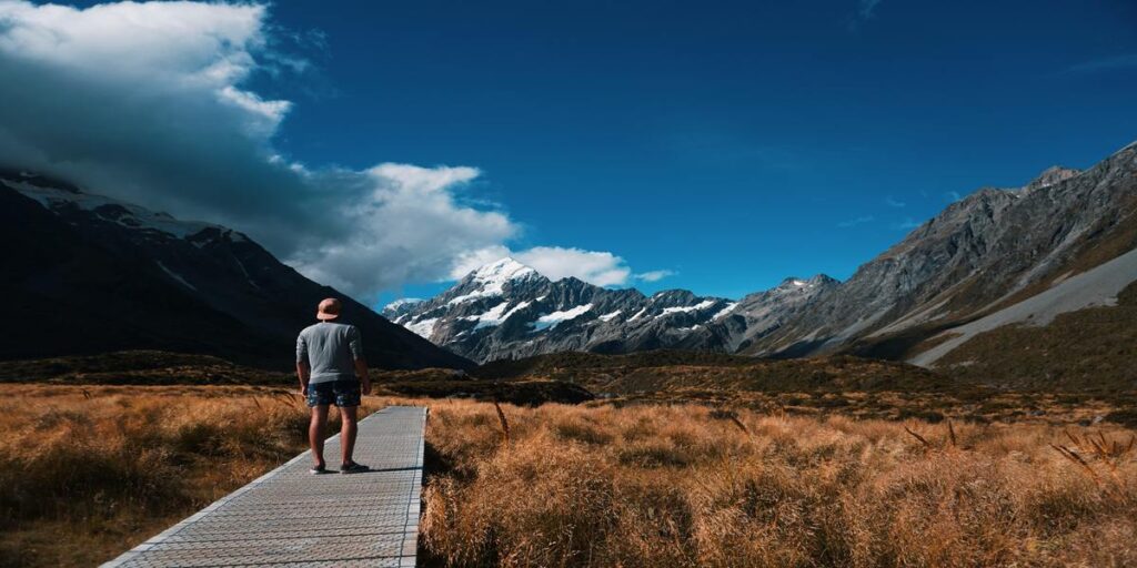 Travel New Zealand alone