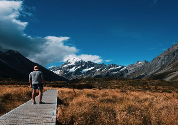 Travel New Zealand alone