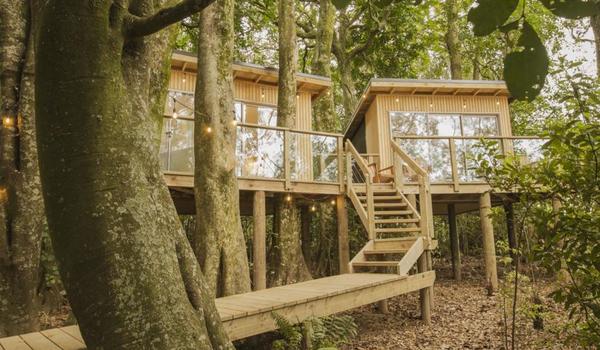 Treehouses and Glamping