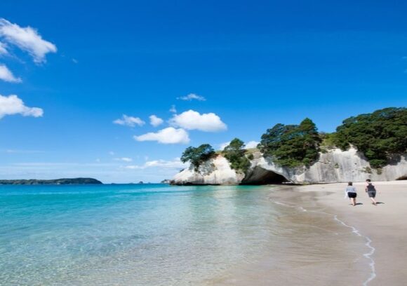 Travel to New Zealand in summer