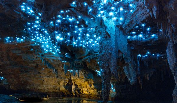 Kawiti Glowworm Caves