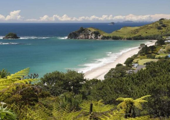 Best hikes in The Coromandel