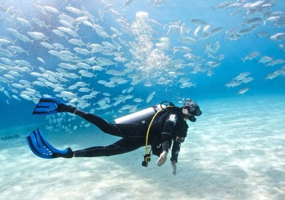 Scuba dive in New Zealand