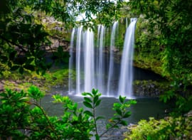 Kerikeri