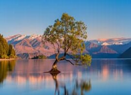 Wanaka