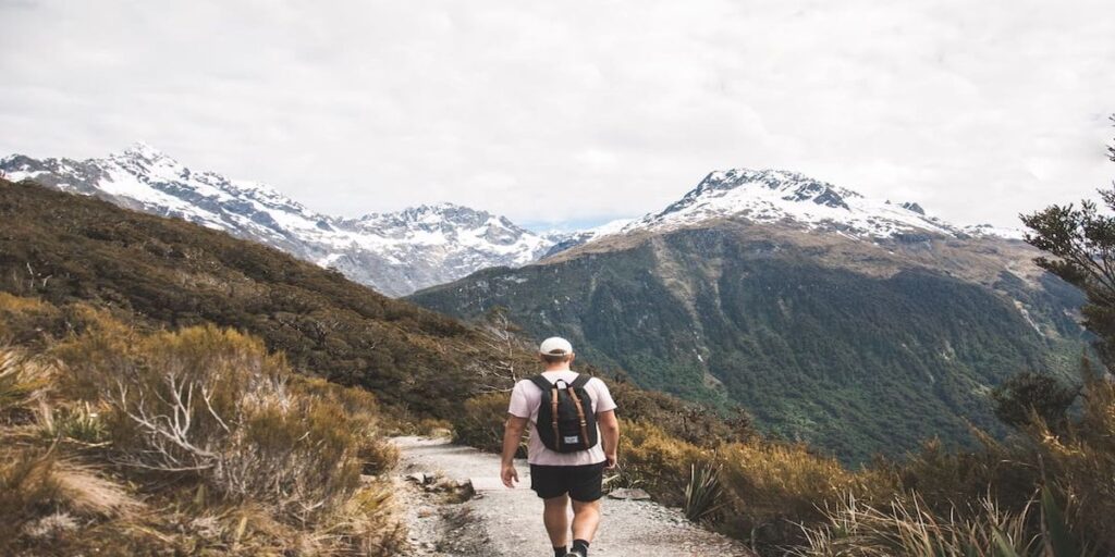 Free hiking experiences in New Zealand