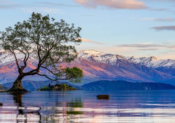 Best time to travel to New Zealand