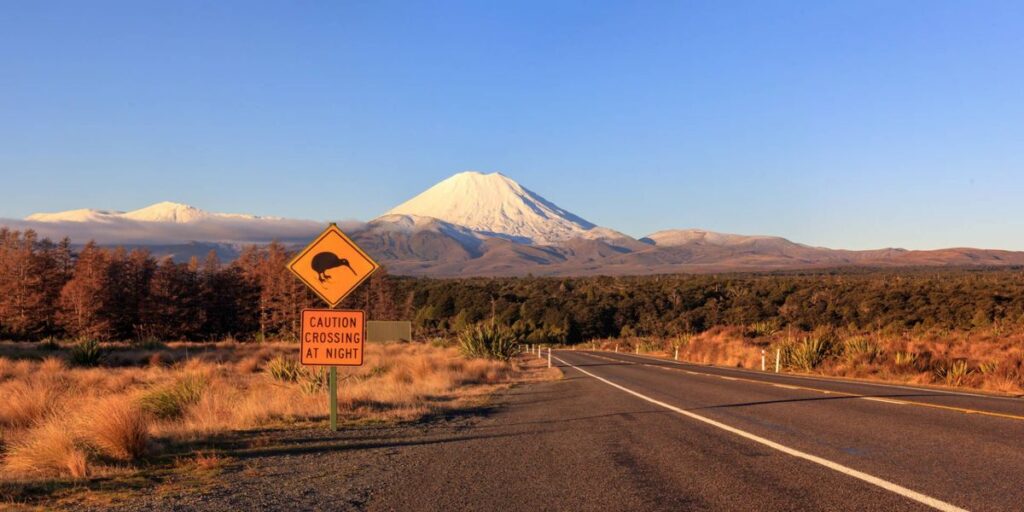 Scenic routes in the north island