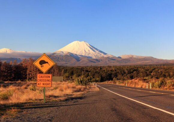 Scenic routes in the north island