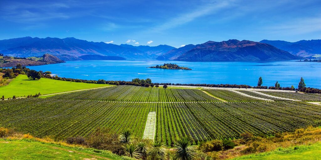 best vineyards and wineries